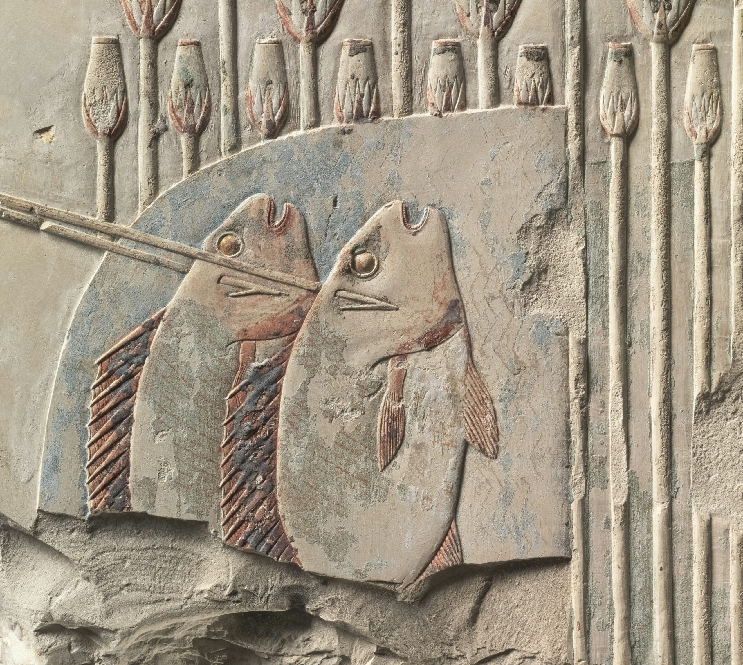 the-cleveland-museum-of-art-a1FJ96pdbnk-unsplash