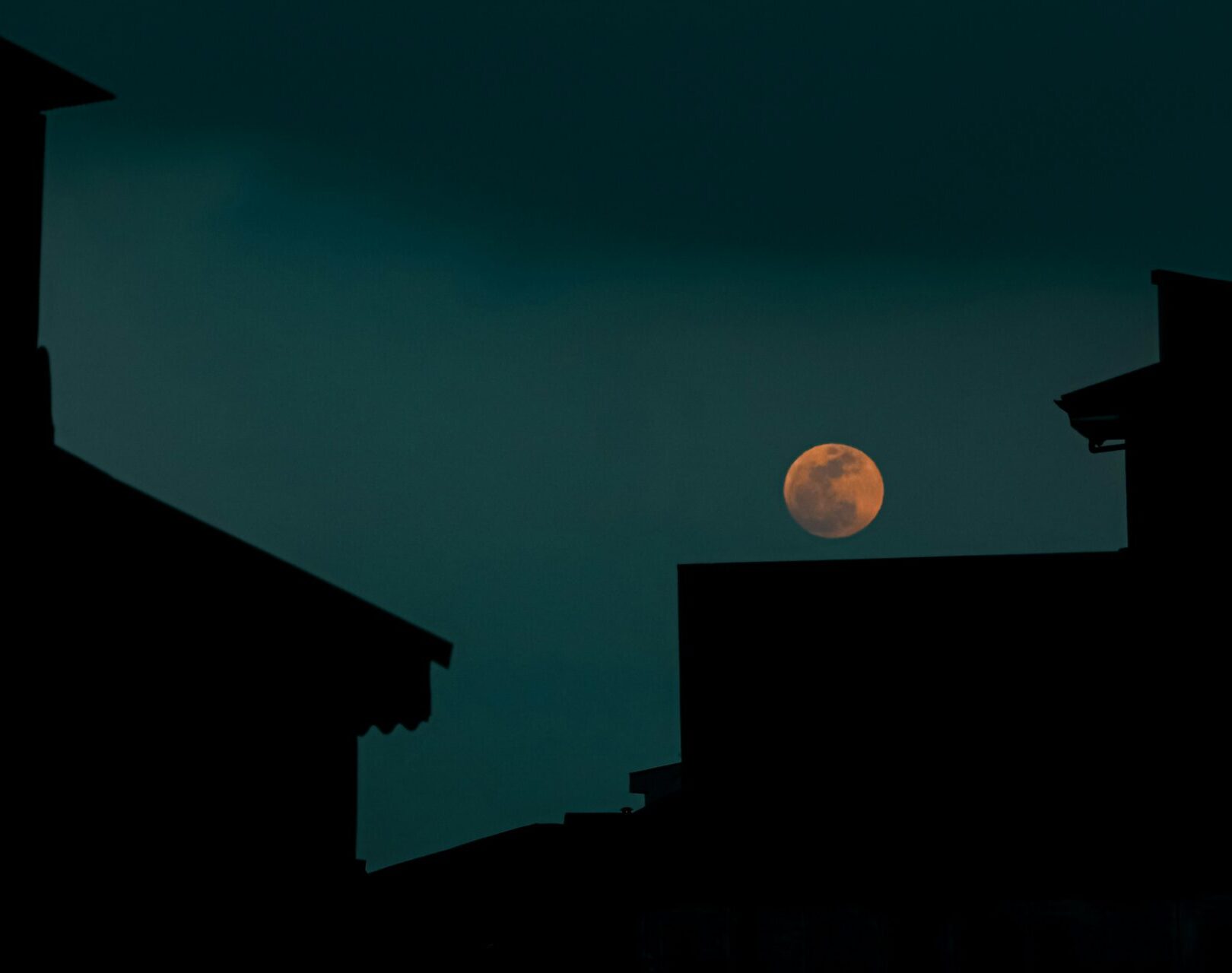 alireza-hashemi-O_rw9Et88NY-unsplash